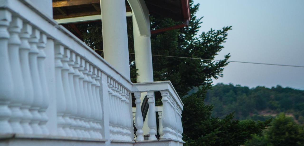 Villa Paradisos Likostomon Exterior photo